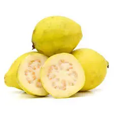 Guava