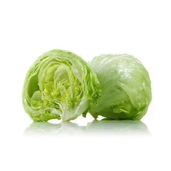 Capcho lettuce 