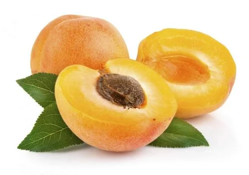 Apricot