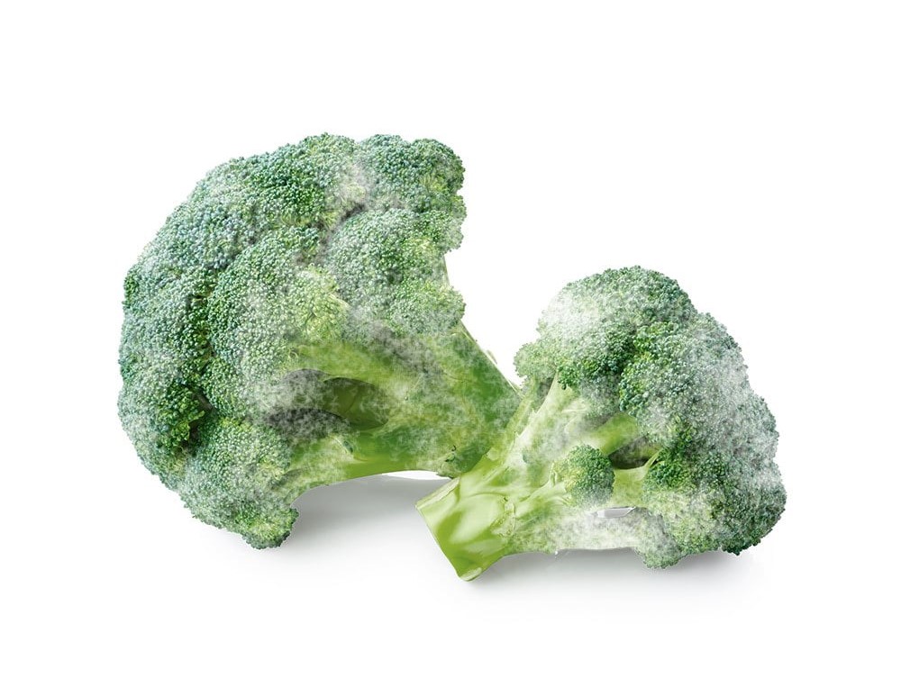 Broccoli